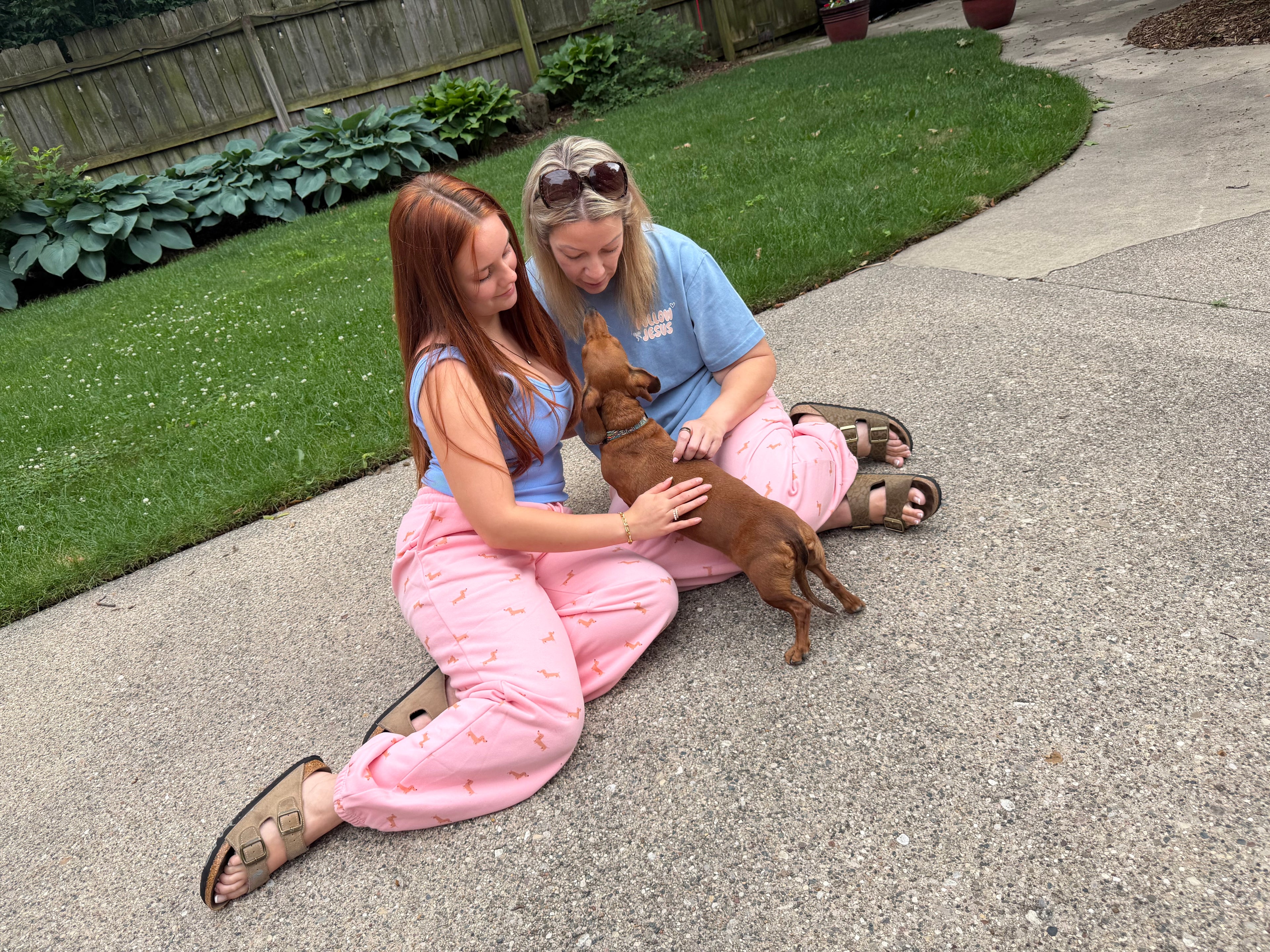 Dashing Dachshund Lounge Pants